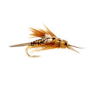 Oe Stonefly Nymph, Golden, 6