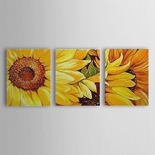 Hand Painted Oil Painting Floral Sunflowers Blossom Plum Set of 3 with Stretched Frame 1307 FL0183