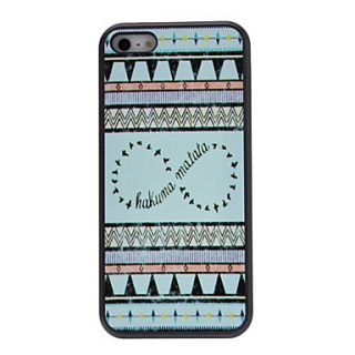 8 Shaped and Birds Pattern Hard Case with Matte Back Cover for iPhone 5C