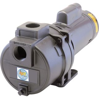 IPT Cast Iron Sprinkler Booster Pump   3480 GPH