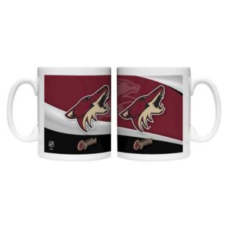 Boelter Brands NHL 2 Pack Phoenix Coyotes Wave Style Mug   Multicolor (15 oz)