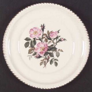 Harker Wild Rose (Royal Gadroon) Dinner Plate, Fine China Dinnerware   Royal Gad