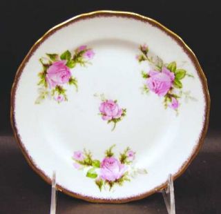 Canonsburg Modern Priscilla Bread & Butter Plate, Fine China Dinnerware   Pink R