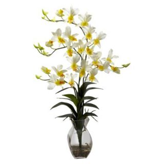 Dendrobium Orchid in Glass Vase 23   Cream