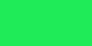 Aztek Airbrushable Fluorescent Acrylic Paint 2oz  Green