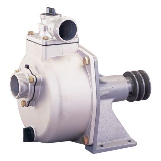 NorthStar Freshwater Pump   7920 GPH, 2 Inch, Model 10627