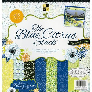 Blue Citrus Paper Stack 12x12 48/sheets 24 Designs/2ea