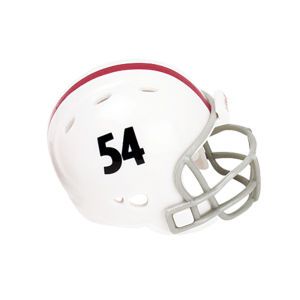 Ohio State Buckeyes Riddell NCAA Pocket Pro Helmets