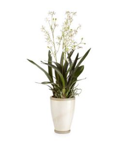 Oncidium Orchid Faux Floral Arrangement