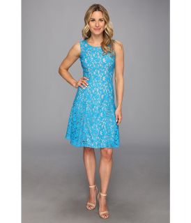 Anne Klein Corded Lace Fit N Flare Dress Womens Dress (Blue)