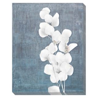 Frosted Flowers 1 Wall Art   20x24
