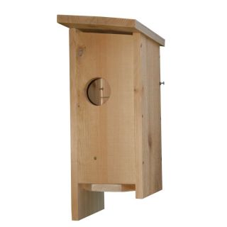 Stovall Squirrel House Multicolor   SP16H
