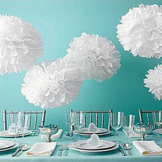 Martha Stewart Craftstm White Tissue Paper Pom Poms