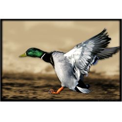 Upstream Images Duck Static Wall Vinyl Graphic Transferrable Decal