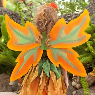 Fall Fairy Wings Child