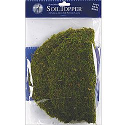 Supermoss Green Moss Pot Toppers