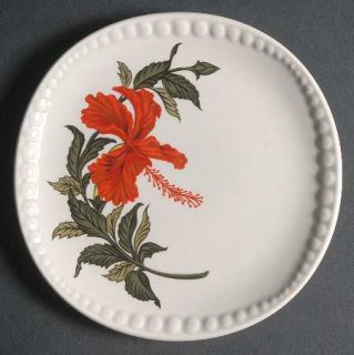 Crooksville Hibiscus Bread & Butter Plate, Fine China Dinnerware   Gray Lure Lin