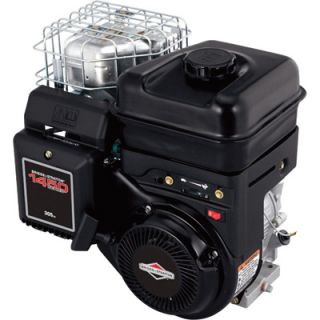 Briggs & Stratton 1450 Series Horizontal OHV Engine (305cc, 1in. x 3 21/32in.