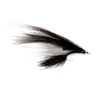 Minny Monny Leech / Minny Monny Leach, Black