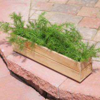Rectangle Teak Wood Herb Box Multicolor   W194, 19L x 4W x 4H inches