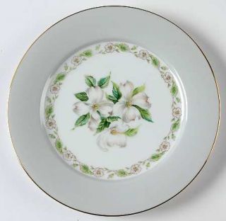 Noritake Edgemont Salad Plate, Fine China Dinnerware   Gray Border,Dogwood Cente