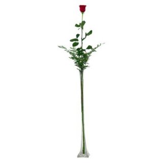 3.5 Foot Single Stem Red Rose with Clear Vase