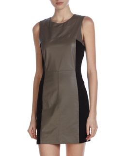 Paneled Leather Dress, Taupe/Black