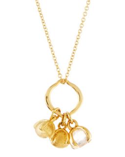 18K Brushed Gold & Rose Quartz Charm Necklace