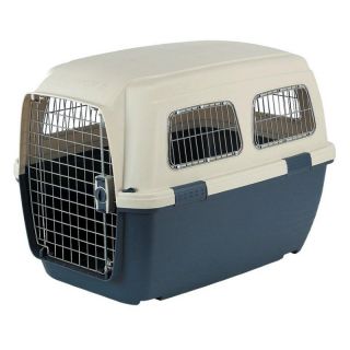Clipper Ithaka Quality Plastic Pet Carrier with Metal Windows Multicolor  