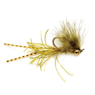 Mikes Gorgon Craw, Olive